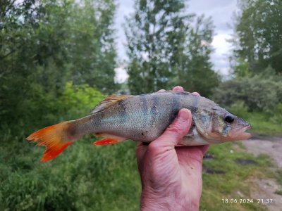 Отводной на реке.