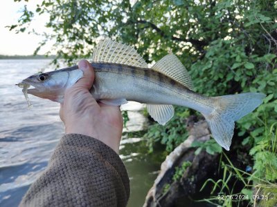 Отводной на реке Обь в городе Н-ске. Слева.