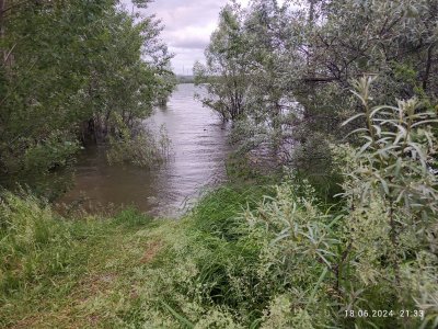 Отводной на реке.