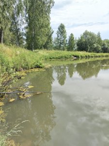 Рыбалочка в тандеме с сестрёнкой.