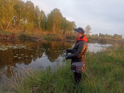 Вечерние щуканы дикой лесной речки.