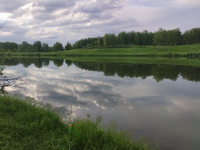 Охота на карпа или как я разучился ловить...