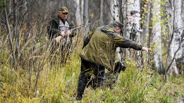 Власти Камчатки рассказали об организации легальной охоты в регионе