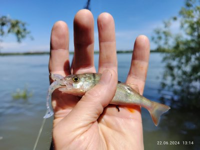 Отводной на реке Обь в городе Н-ске. Слева.