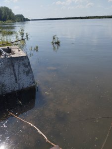 Не покормишь, не половишь!..