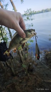 Снова отводной, пока обучаемся.