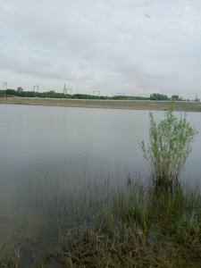 Городская рыбалка на поплавок.