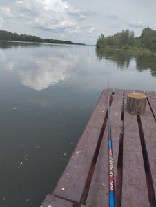 В ожидании дождя 🤗 !…