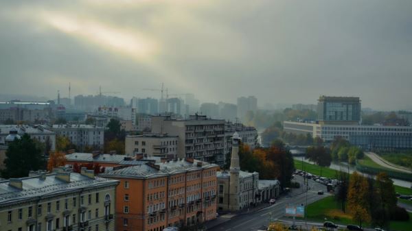 В Петербурге в будущем создадут пять новых экотроп