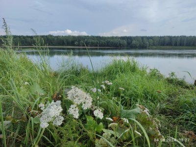 За щучкой.